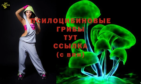 дурь Алзамай