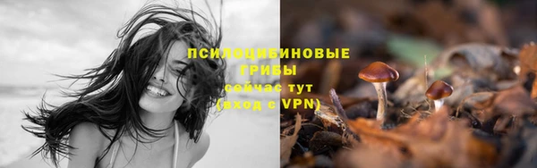 МДМА Абаза