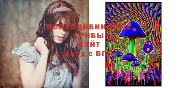 сатива Алексеевка