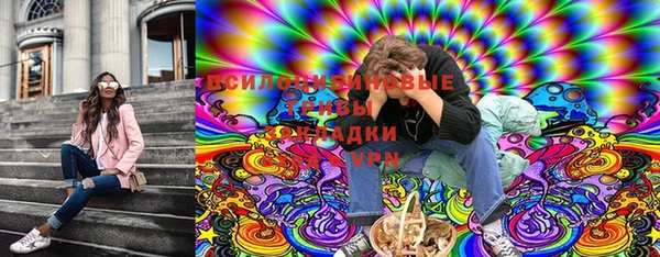 сатива Алексеевка